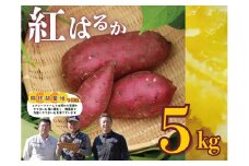 11-79　生さつまいも（5kg）
