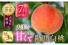 ≪先行予約≫出荷時期はわずか２週間！ 豊橋産『石巻の勘助白桃 2.5～3kg（6～10玉）』