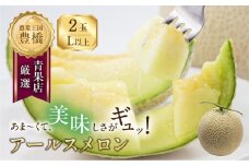 ≪先行予約≫ 豊橋城下地区の『アールスメロン（L～2L）』2玉