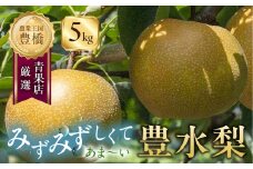 ≪先行予約≫ 豊橋産　豊水梨 ５kg （１０～２０玉）　梨　フルーツ