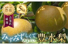 ≪先行予約≫ 豊橋産　豊水梨 ５kg （１０～２０玉）　梨　フルーツ