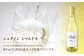 シュタイン シャルドネ　スパークリング（750ｍｌ）2022年