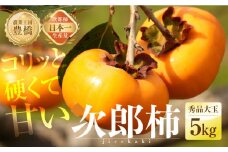 ≪先行予約≫  コリっと硬くて 甘い 豊橋 石巻産 次郎柿 （秀品 大玉）５kg 柿（15～20玉）　10月 11月