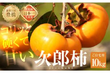 ≪先行予約≫  生産量日本一 豊橋石巻産 次郎柿 ご自宅用 10kg 柿 訳あり 不揃い (30～50玉) 甘柿 果物 フルーツ 10月 11月 愛知県 豊橋市