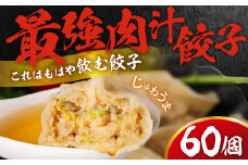 とよはし『最強肉汁餃子』60個入り