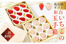 ≪先行予約≫最高級ギフト「紅白いちごの玉手箱」2段桐箱入（赤・白各約300g　計約600g）