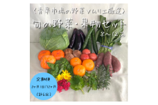 【奇数月の第３金曜日発送　計６回定期便】青果市場の野菜ソムリエ厳選『豊橋の旬の野菜・果物セット（8～12品）』