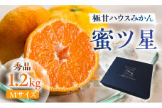≪今が旬！≫ 濃厚ハウスみかん『蜜ツ星』秀品１.２kg（Mサイズ12玉）　マルカワ園芸
