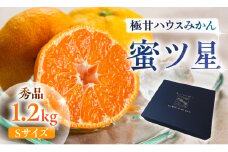≪今が旬！≫ 濃厚ハウスみかん『蜜ツ星』秀品 1.2kg（Sサイズ15玉）　マルカワ園芸