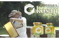 豊橋蜂蜜【kosaji】春はちみつ１５０ｇ＋１００ｇ瓶入りセット