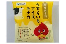 愛知大学の学生さんと作りました！中央製乳の「うずらいもアイスモナカ」（120ml×20個）