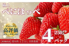  ≪先行予約≫極上 紅ほっぺ 計1kg ( 約250g × 4 ) いちご イチゴ 苺 べにほっぺ フルーツ 旬 果物 採れたて ショートケーキ フルーツサンド スイーツ 産地直送 完熟 国産 冷蔵 愛知県 豊橋市