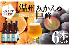 クラフトビール DAMONDE 2種6本 セット 巨峰 温州みかん ビール お酒 地ビール 地酒 クラフト 麦酒 豊橋市