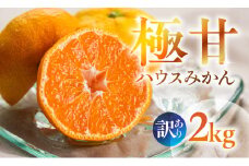 ≪今が旬！≫ 超濃厚 ハウスみかん『蜜ツ星』 家庭用 2kg　マルカワ園芸