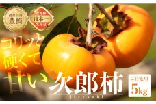≪先行予約≫   生産量日本一 豊橋石巻産 次郎柿 ご自宅用 5kg 柿 訳あり 不揃い (15～25玉) 甘柿 果物 フルーツ 10月 11月 愛知県 豊橋市