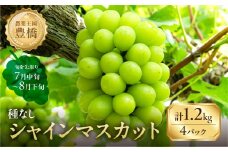≪先行予約≫たっぷり1.2kg 豊橋産 皮ごと 種なし シャインマスカット300ｇ×4 ブドウ ぶどう マスカット フルーツ 甘い 1.2キロ 果物 豊橋市 愛知県  旬 食べ比べ 高級 希少 贈答 贈り物
