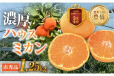  ≪今が旬！≫あまくてコクがある 笑和園 の ハウスミカン 赤秀品 1.25kg みかん ハウスみかん