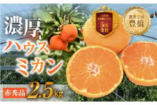  ≪今が旬！≫あまくてコクがある 笑和園 の ハウスミカン　赤秀　2.5kg みかん ハウスみかん