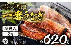 ふっくら肉厚！『一番うなぎ』 超特大 2尾 国産うなぎ蒲焼