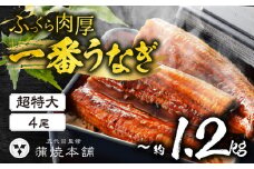 ふっくら肉厚！『一番うなぎ』 超特大 4尾 国産うなぎ蒲焼