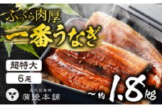 ふっくら肉厚！『一番うなぎ』 超特大 6尾 国産うなぎ蒲焼