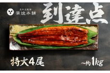 ふっくら肉厚！国産うなぎ 蒲焼 特大 4尾 老舗 国産うなぎ セット 詰め合わせ 蒲焼 ウナギ うなぎ unagi 鰻
