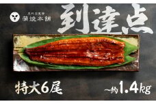 ふっくら肉厚！国産うなぎ 蒲焼 特大 6尾 老舗 国産うなぎ セット 詰め合わせ 蒲焼 ウナギ うなぎ unagi 鰻 