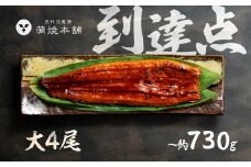 ふっくら肉厚！国産うなぎ 蒲焼 大 4尾 老舗 国産うなぎ セット 詰め合わせ 蒲焼 ウナギ うなぎ unagi 鰻 4尾