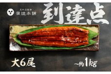 ふっくら肉厚！国産うなぎ 蒲焼 大 6尾 老舗 国産うなぎ セット 詰め合わせ 蒲焼 ウナギ うなぎ unagi 鰻 6尾