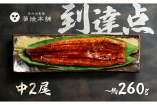 ふっくら肉厚！国産うなぎ 蒲焼 中 2尾 老舗 国産うなぎ セット 詰め合わせ 蒲焼 ウナギ うなぎ unagi 鰻 2尾