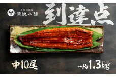 ふっくら肉厚！国産うなぎ 蒲焼 中 10尾 老舗 国産うなぎ セット 詰め合わせ 蒲焼 ウナギ うなぎ unagi 鰻