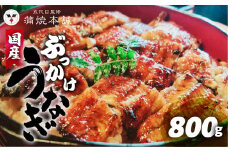 国産 ぶっかけうなぎ 10枚（800g）