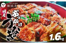 国産 ぶっかけうなぎ 20枚（1.6kg）