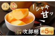 ≪先行予約≫ 次郎柿　平箱（約20～25個）