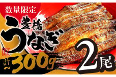 【すぐにお届け】極上 豊橋うなぎ 蒲焼 2尾 ~300g 夏目商店