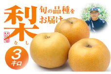 ≪先行予約≫朝倉さんの『小島梨』 3kg　~ 9玉 幸水 凛夏 秋麗 あきづき 甘太 など