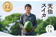 【2024年お届け】鈴木さんの 『天伯スイカ』 1玉 糖度11度以上 大玉 2L以上（7kg以上）