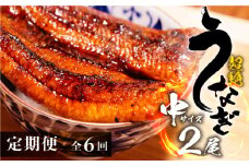 超絶うなぎ蒲焼 中2尾 定期便 6回