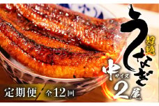 超絶うなぎ蒲焼 中2尾 定期便 12回