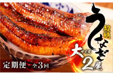 超絶うなぎ蒲焼 大2尾 定期便 3回
