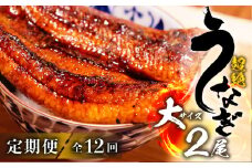 超絶うなぎ蒲焼 大2尾 定期便 12回