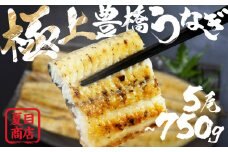 極上 豊橋うなぎ 白焼 5尾 750g 夏目商店