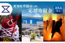 ≪返礼品なし≫ 3,000円  愛知県豊橋市への寄附 返礼品無し 寄附のみ 豊橋市 