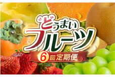 《先行予約》どうまい フルーツ 定期便 全6回 いちご メロン シャインマスカット 巨峰 梨 柿 みかん 果物 フルーツ 旬 先行予約