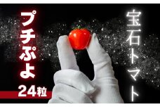《先行予約》希少品種 プチぷよ 24粒 ミニトマト 高糖度 こだわり トマト