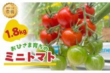 【先行予約】おひさま育ちのミニトマト　1.8kg