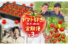 トマト好き　定期便　3回