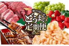 どうまい定期便　6回お届け
