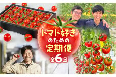 トマト好き　定期便　6回