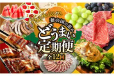 どうまいプレミアム定期便　12回お届け